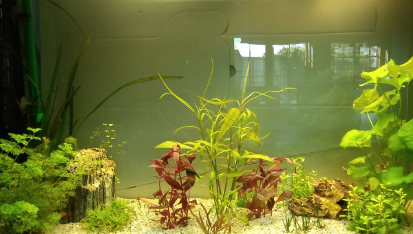 Les premiers occupants ont emménagé hier