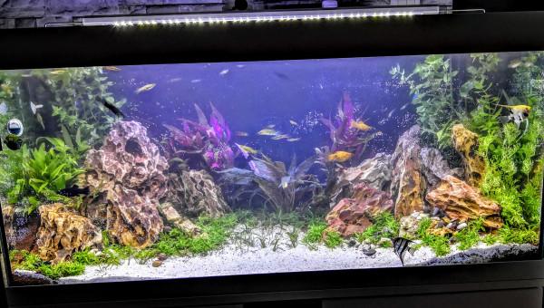 AQUARIUM VIVALINE LED