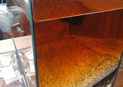 répartition des plantes