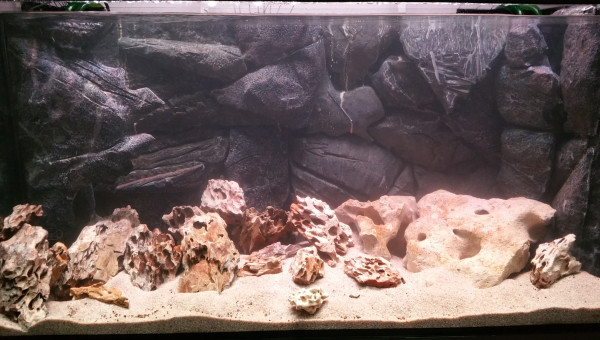 Bac vide avant introduction