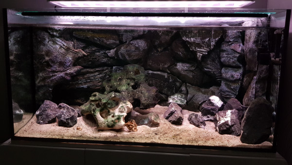 Bac vide après la perte des locataires