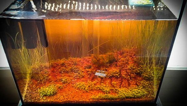 ça commence à rendre.