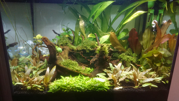 2 mois après démarrage