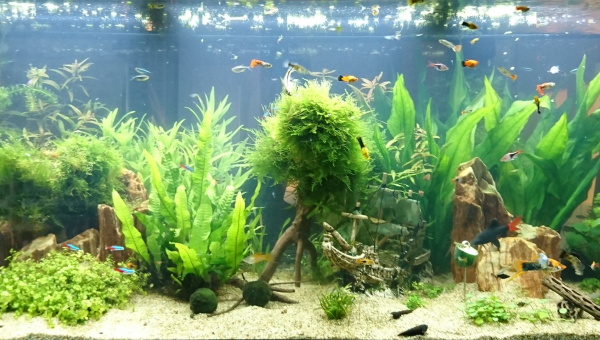 Aménagements presque terminés...