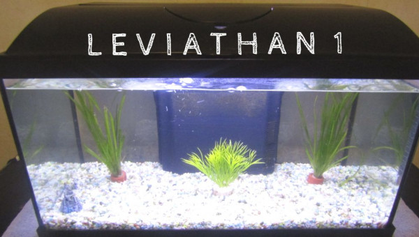Léviathan 1