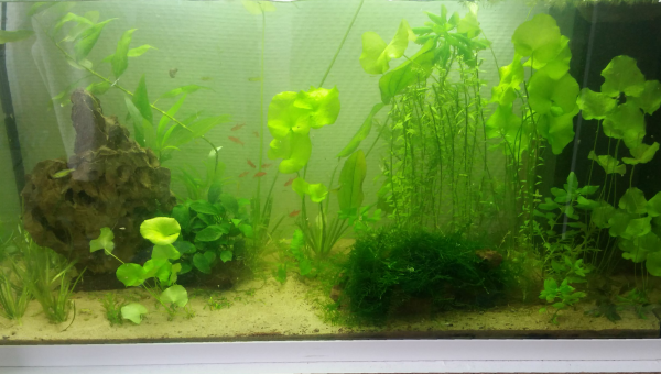 120l
