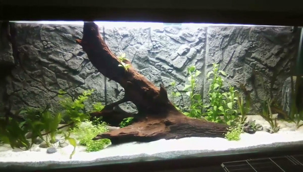 Mise en route le 09 avril 2019