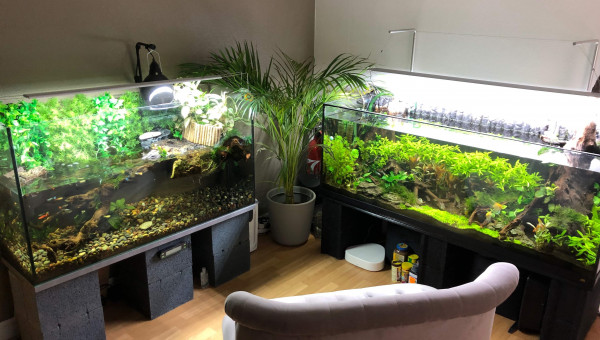 Évolution 6 mois après