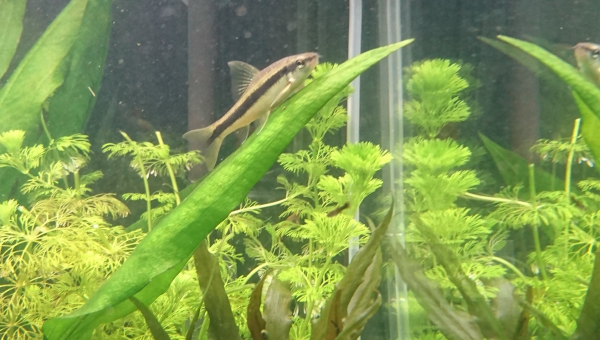 Atterrissage réussi...