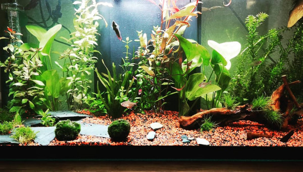 Jour J-30 réaménagé