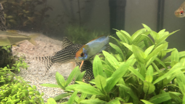 Nos petites bandes de potes!