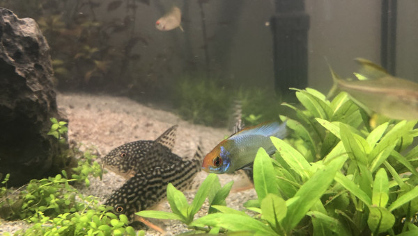 Nos petites bandes de potes!