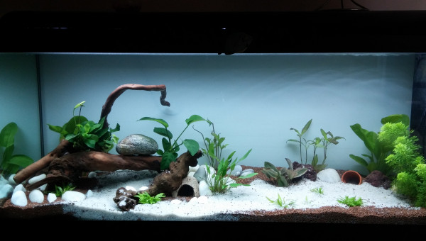 120L