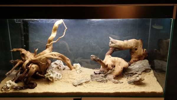 Mise en.place du décor