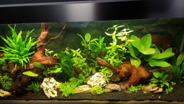 Remise en forme surface J+13