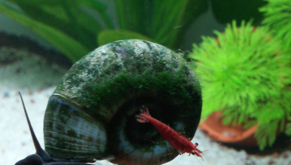 En mode j'me balade ;-)