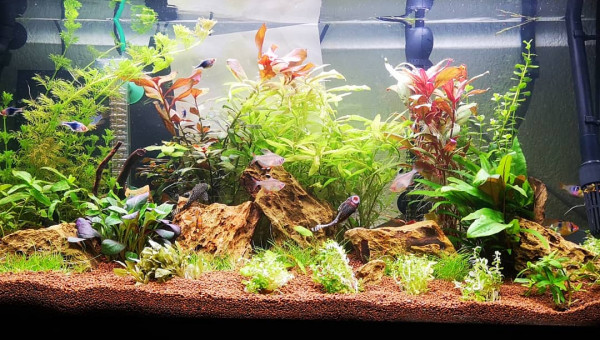 Évolution de mon bac