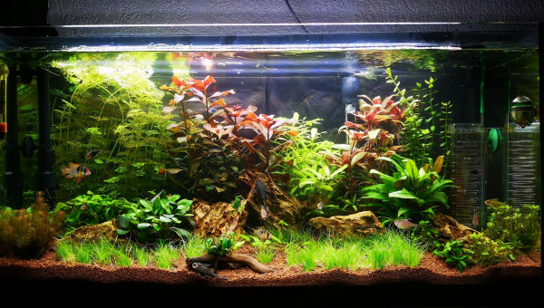 Ça pousse trop vite, allez encore une photo update :)