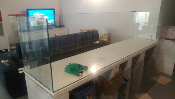 Mise en place des verres