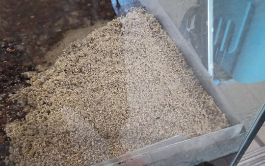 Mise en place du substart