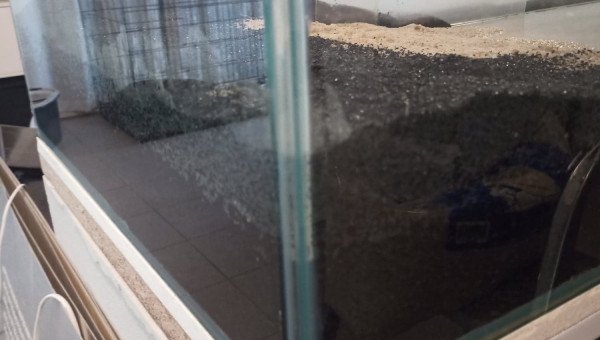 Mise en place du substrat