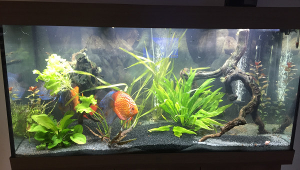 Changement de sables