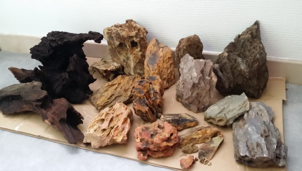 Pierres et racines (Nouveau bac)