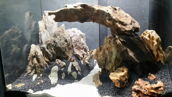 Hardscape.... fini???