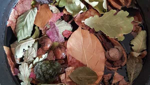 La souplette, la bonne souplette !