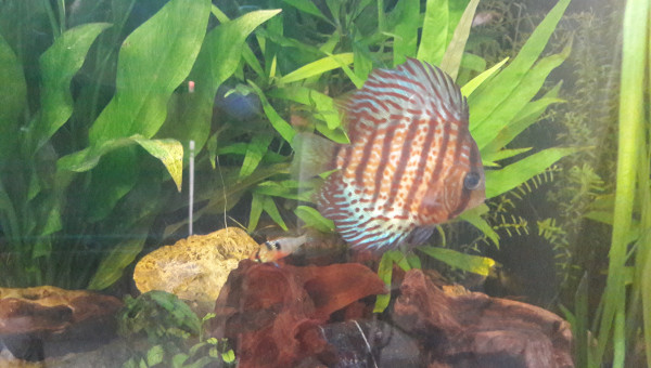 Ptit nouveau depuis 4 jrs