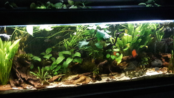 C'est l'heure !!! tous ce ptits monde va au dodo !!!