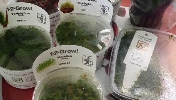 Jardinage cet après midi!!!