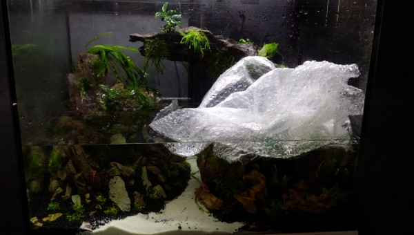 Allez!!!! On rempli.......