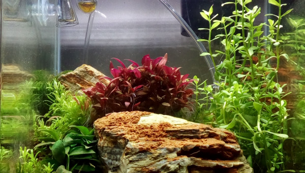 Installation filtration & CO2