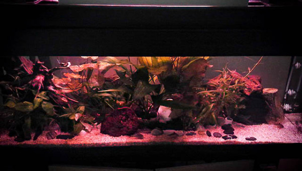 évolution fin aout 2019