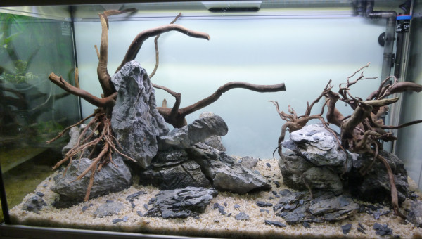 aquatlantis fusion 100