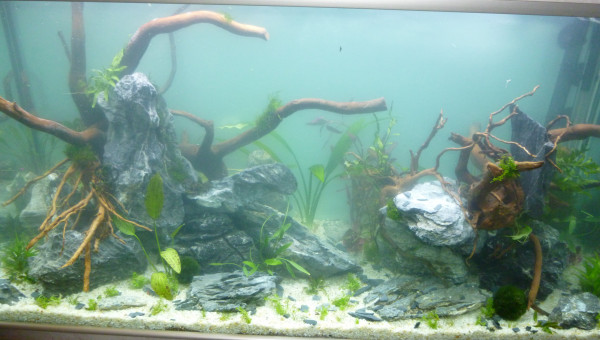 aquatlantis fusion 100