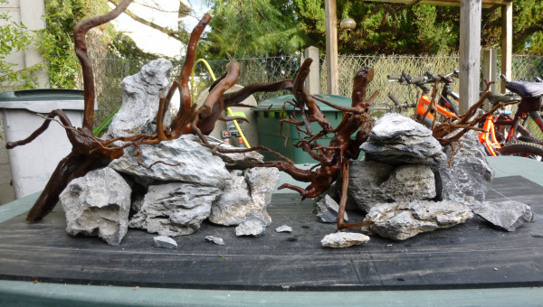 aquatlantis fusion 100