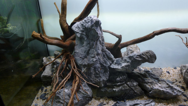 aquatlantis fusion 100