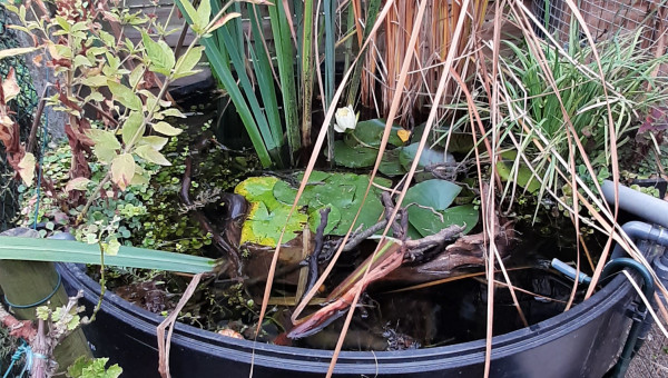 Bac plastique  extérieur