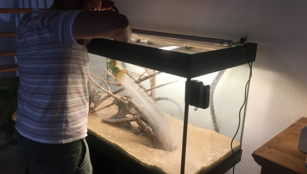 C'est reparti pour un cyclage