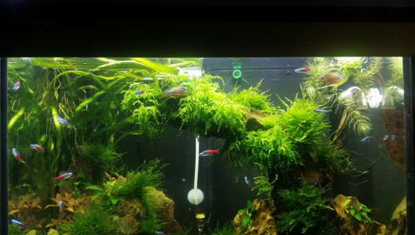 J'adore la mousse vous l'aurez compris lol