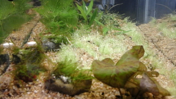 un petit reset du nano.