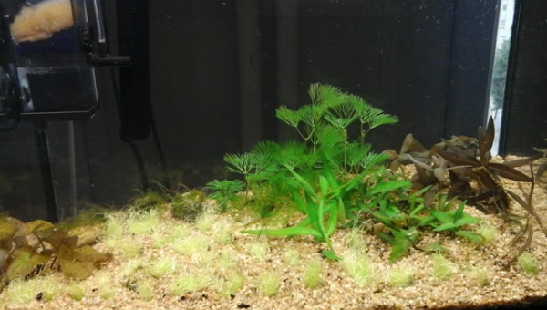 un petit reset du nano.