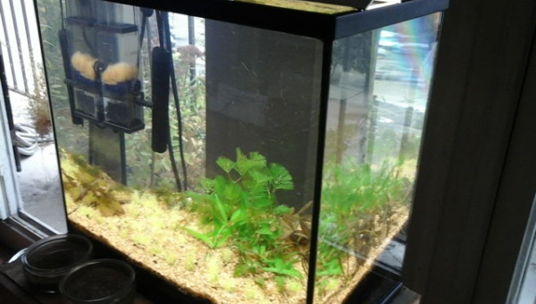 un petit reset du nano.