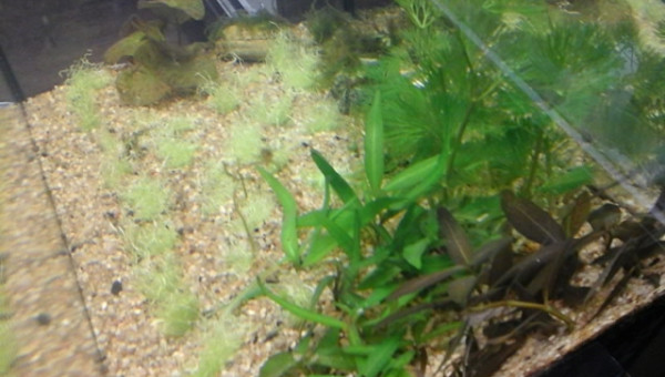 un petit reset du nano.