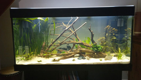 Prêt à accueillir ses locataires !! ????