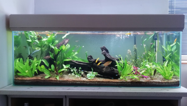 Bac communautaire 400l