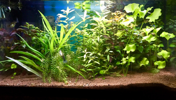 54 LITRES DE LA MAISON