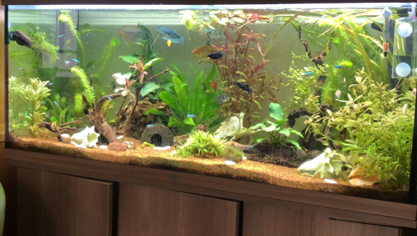 vue d'ensemble 3 décembre